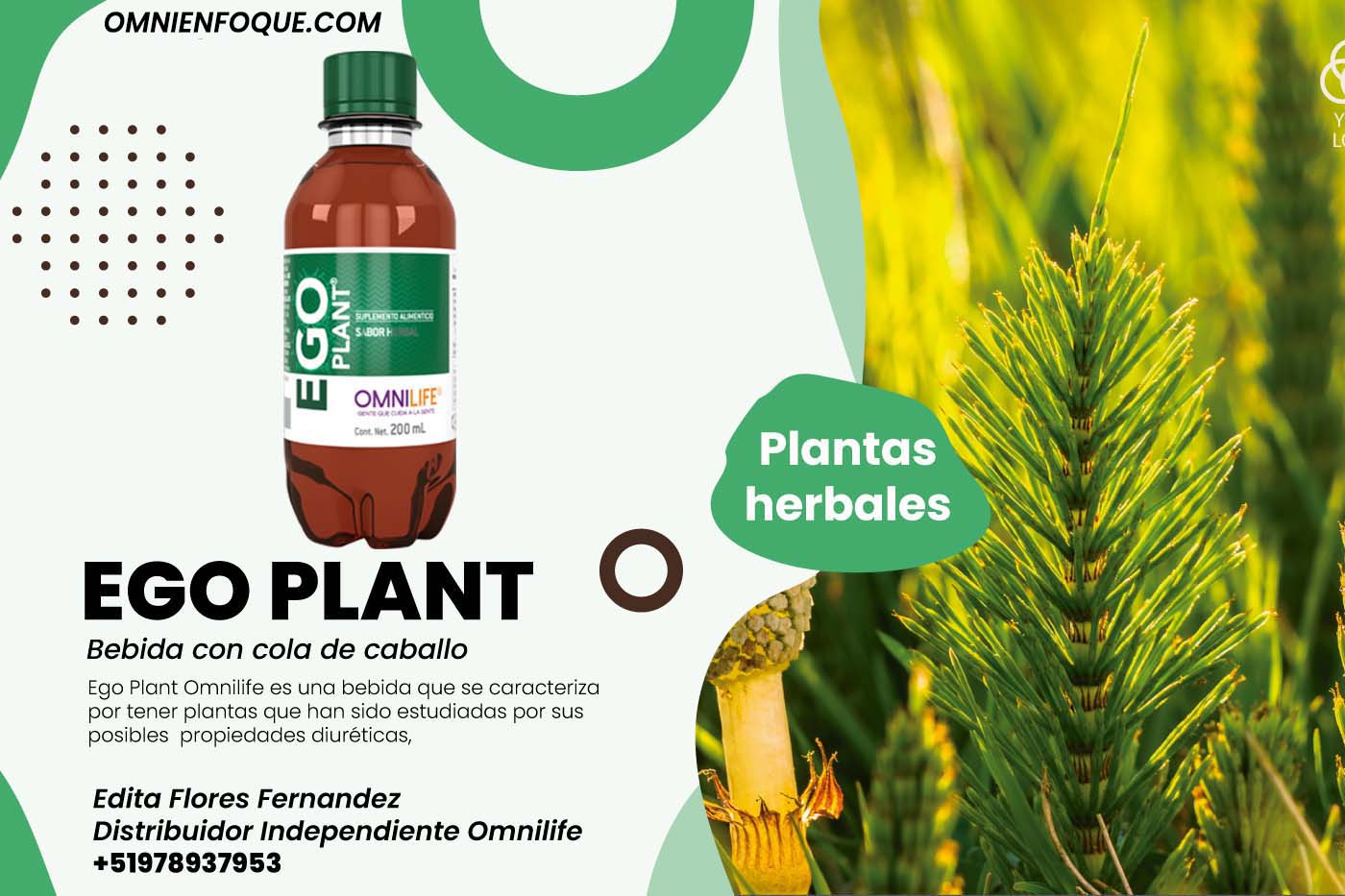 ego plant de omnilife es un producto hecho con plantas diureticas